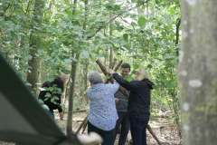 Shelter making